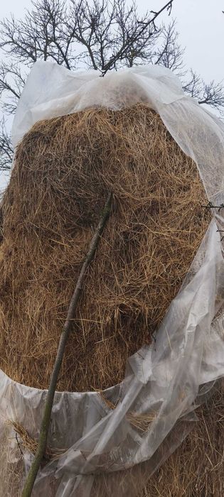 Stog de fân facut in 2025