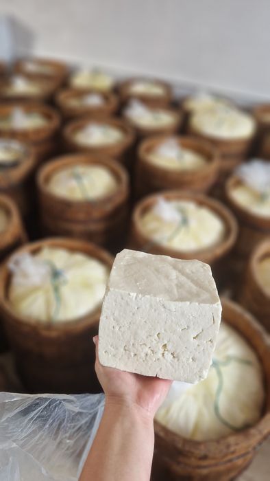 Telemia de oaie maruratā 30 lei kg