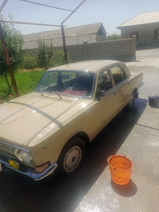 Volga 24 holati yaxwi