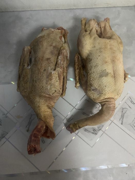 Продам домашних гусей