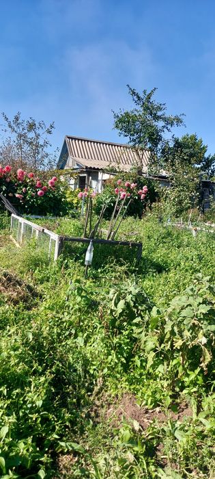 Продам  дачу сад Металург  750 000
