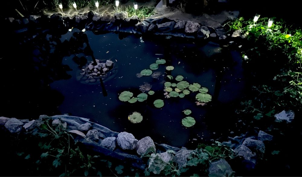 Жері үлкен үй сатылады