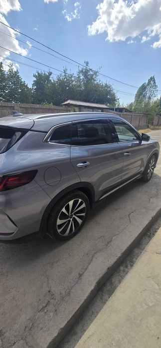 BYD Champion DM-i  1100 km 2024