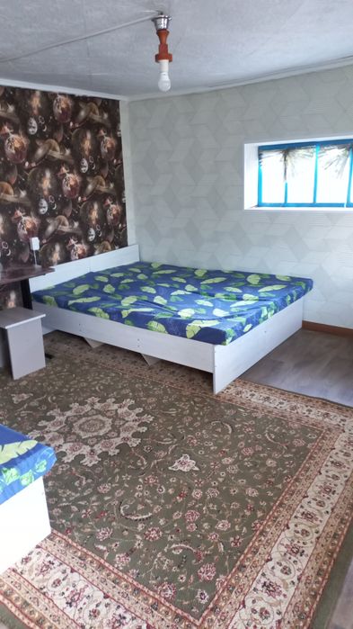 Боровое домики, дом