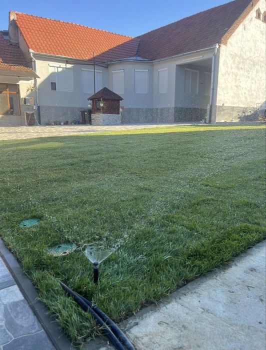 Vând gazon rulou natural de trafic și montez