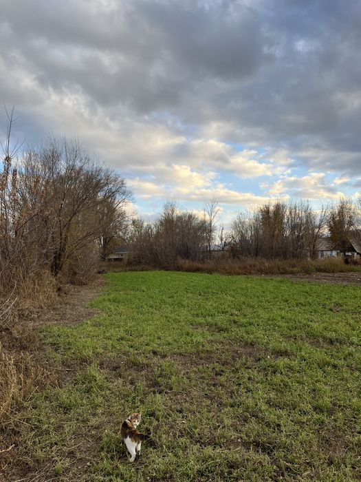 Срочно продам участок