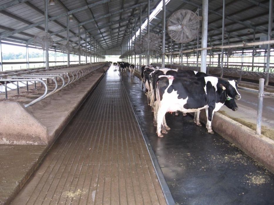 Резиновые плиты от компании Amadina