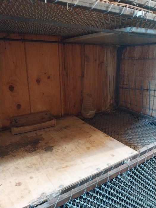 Cuști iepuri profesionale pentru matcâ și tineret .