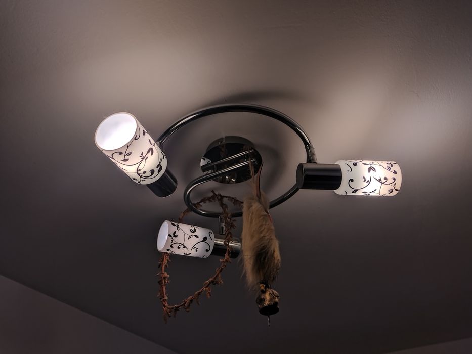 Спот Blossom тройка