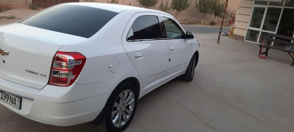 Dicka 17 razmer xolati alo