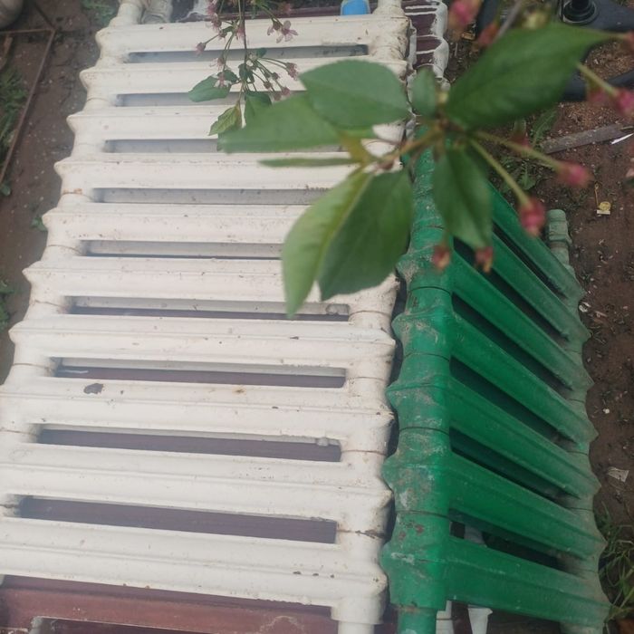 Шугуни батарея