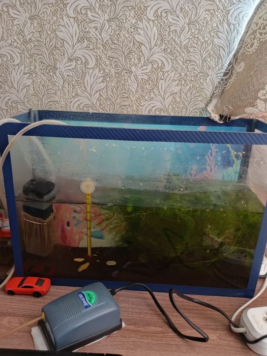 Продам аквариумы, 4 штуки в наличии