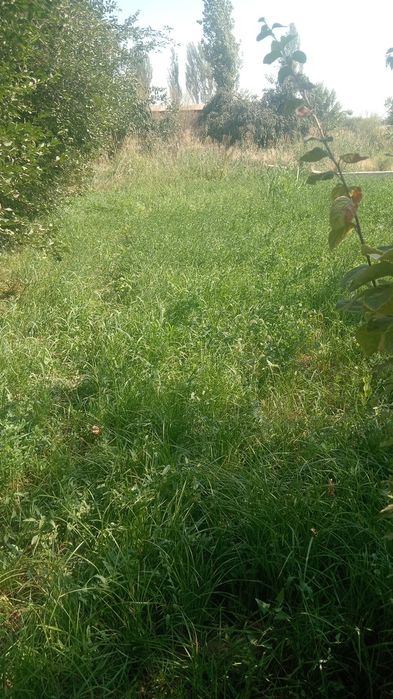 Земельный участок