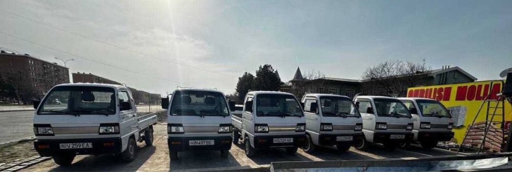 Мусир чангам шенерай хизматлари