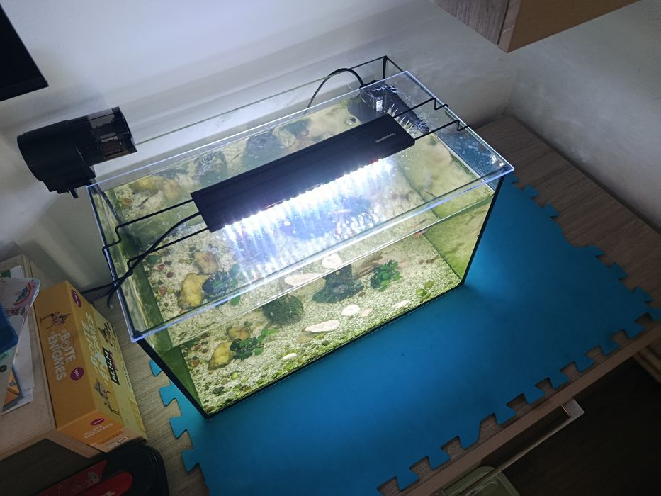 Acvariu 55L complet dotat hranitor automat