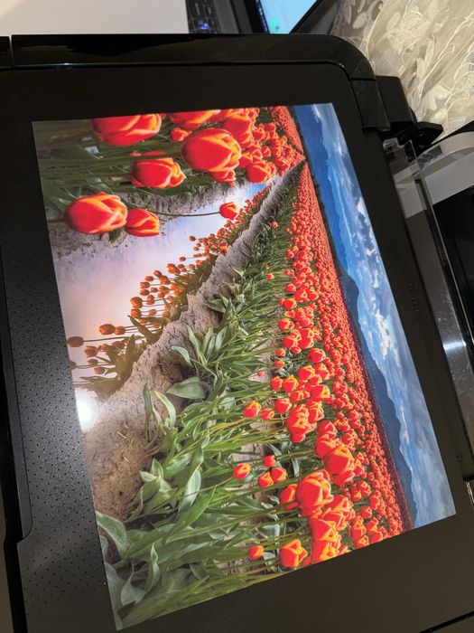 Принтер Epson L850