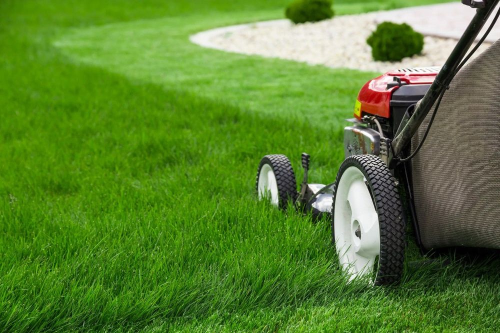 Amenajare si Intretinere spatii verzi/Plantare si toaletare arbusti/Sisteme de irigatii
