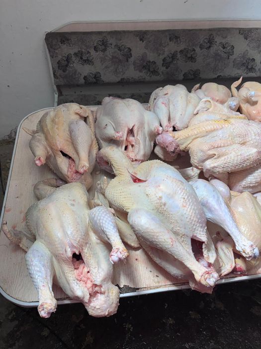 Үндік еті сатылады