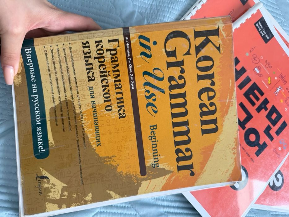 Korean Grammar in Use: Beginning