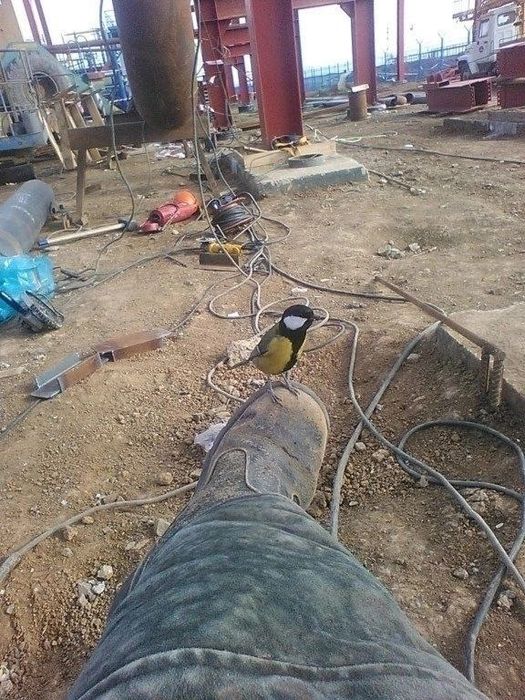 Сварочные Услуги Ташкент. По ВЫЗОВУ
