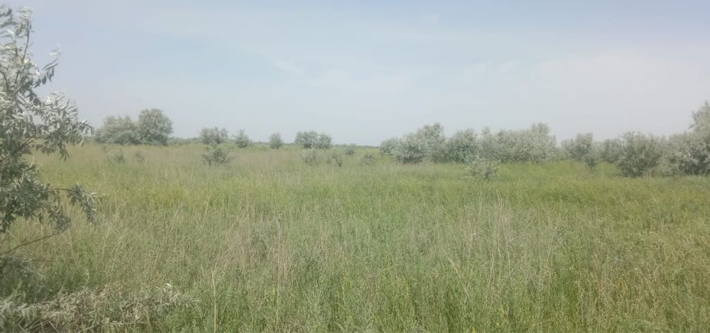 Сдам в аренду  землю