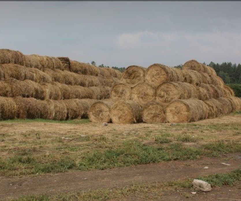 Продается сено в рулонах