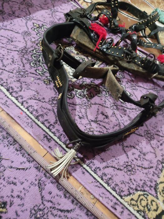 Vand sau schimb ham ponei