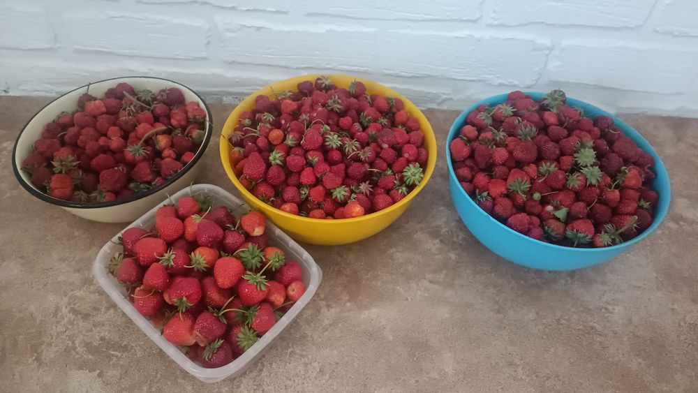 Продам  клубники