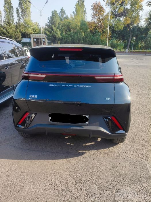 BYD sigel 2024 yil