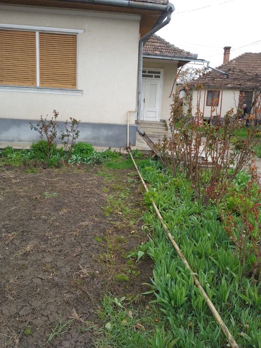 Vand 2 case in Campia Turzii