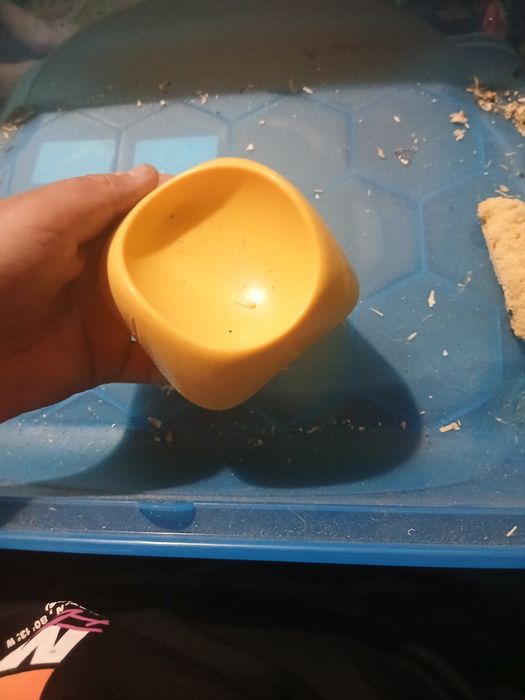 Cusca hamster cu etaj