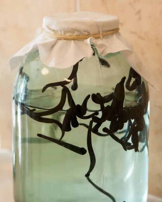 Zuluk sotiladi, Продаю пиявки