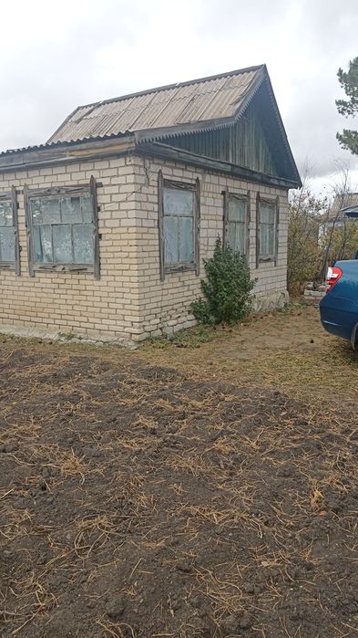 Дача сады 1 с хорошим поливом