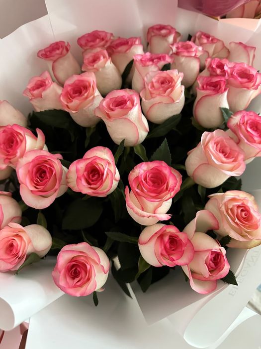 түркістан свежий цветы