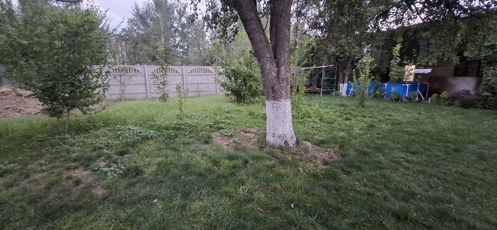 Г.умаров келес да йер сотилади