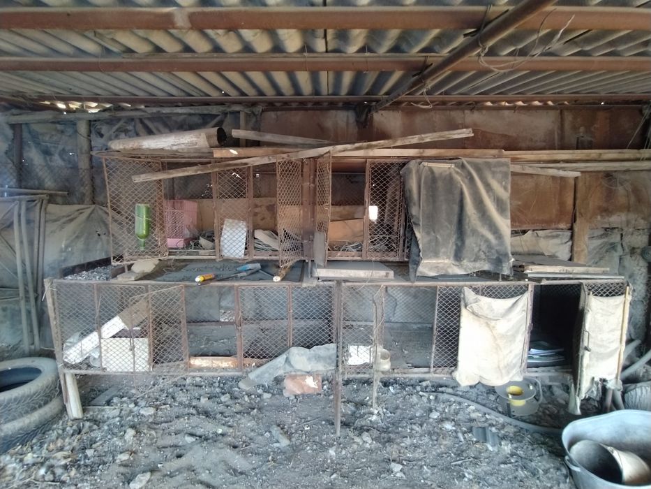 Вольеры для кроликов