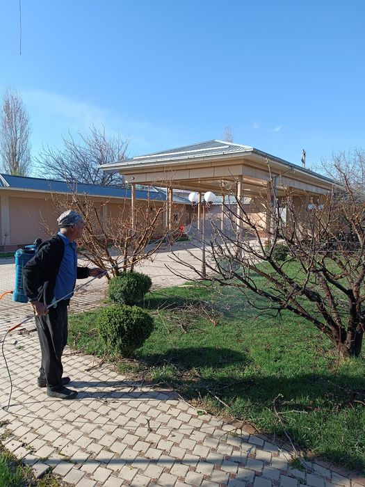 Газоны рулонные, поливная система, ландшафтный дизайн