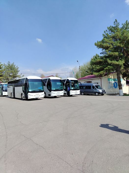 Заказ автобусов. Buyurtma avtobus. Yutong 51  место