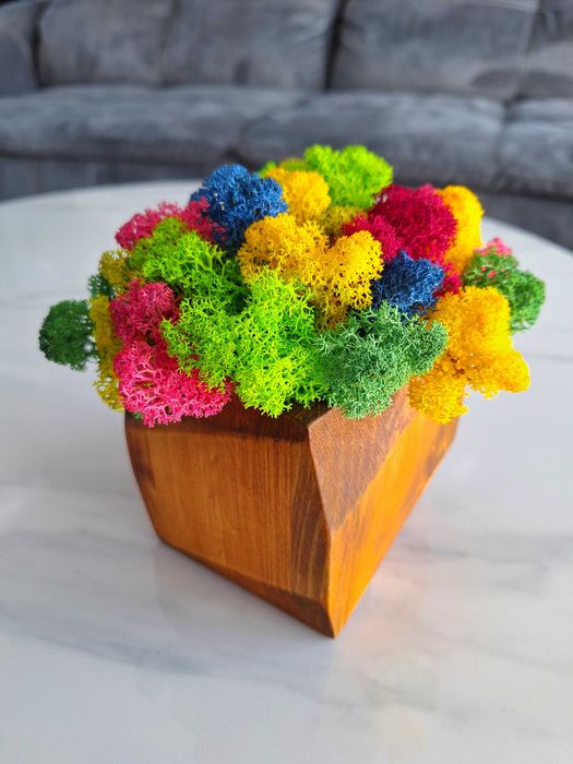 Декорации със скандинавски мъх