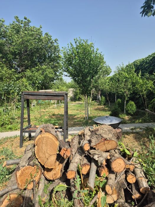 Сдается дача на Шубарсу