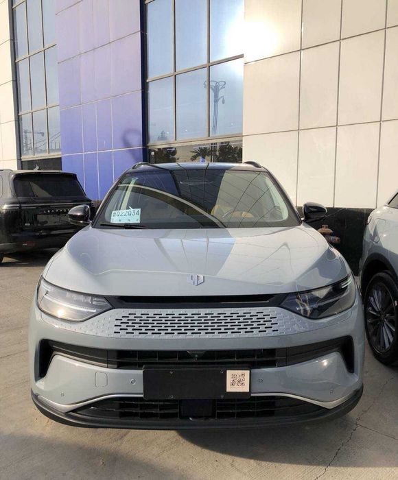 Leapmotor C11 variant
