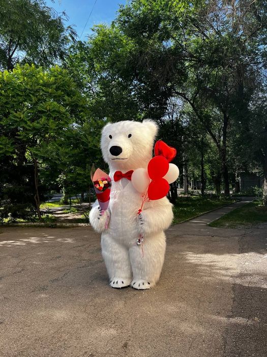 Белый Медведь Поздравление !