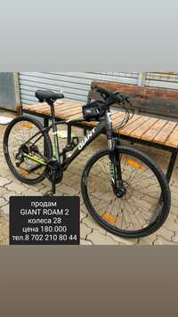 Giant roam olx on sale