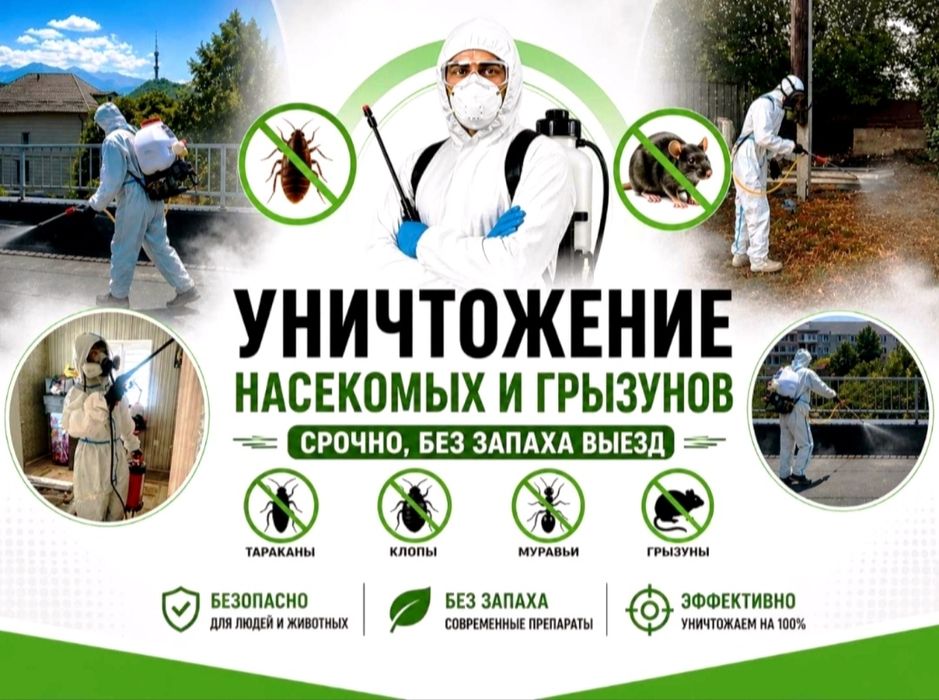 СЭС! Уничтожение насекомых (клопов, тараканов, блох, муравьев)СКИДКИ