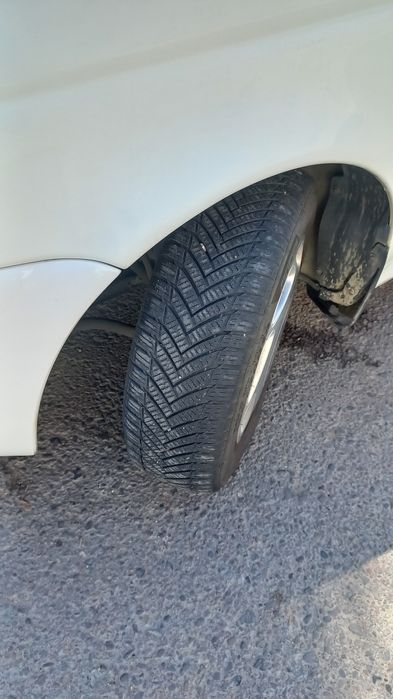 Matiz arendaga rangi oq