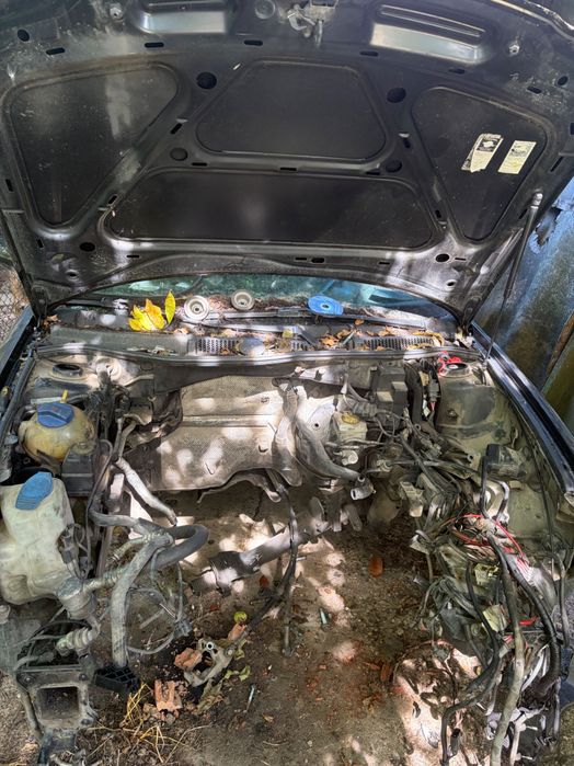 Audi a3 8l 1.9 131кс на части