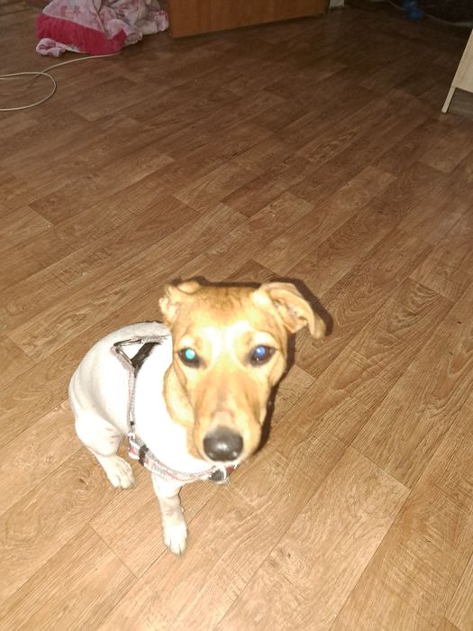 Девочка ище мальчика