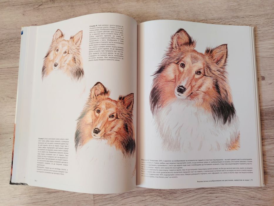 „Изкуството да рисуваш в цвят“ – Книгомания (Твърди корици), нова