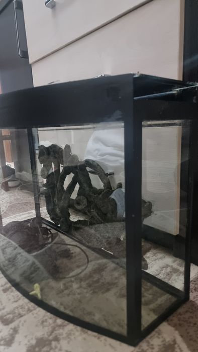 Аквариум для рыб