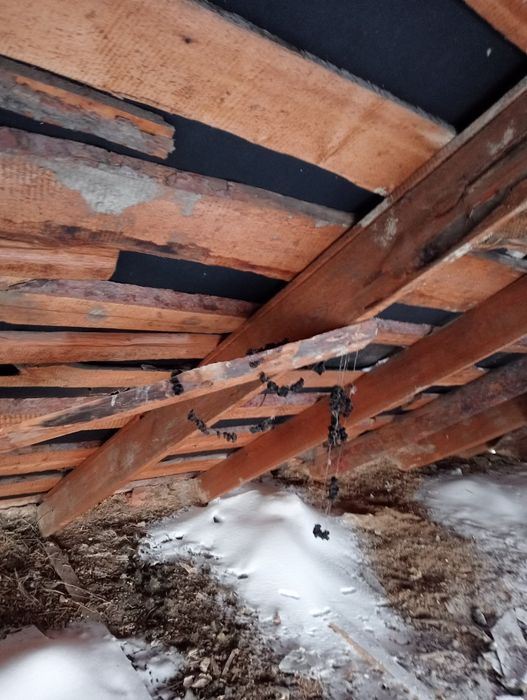 Продам дом на разбор.